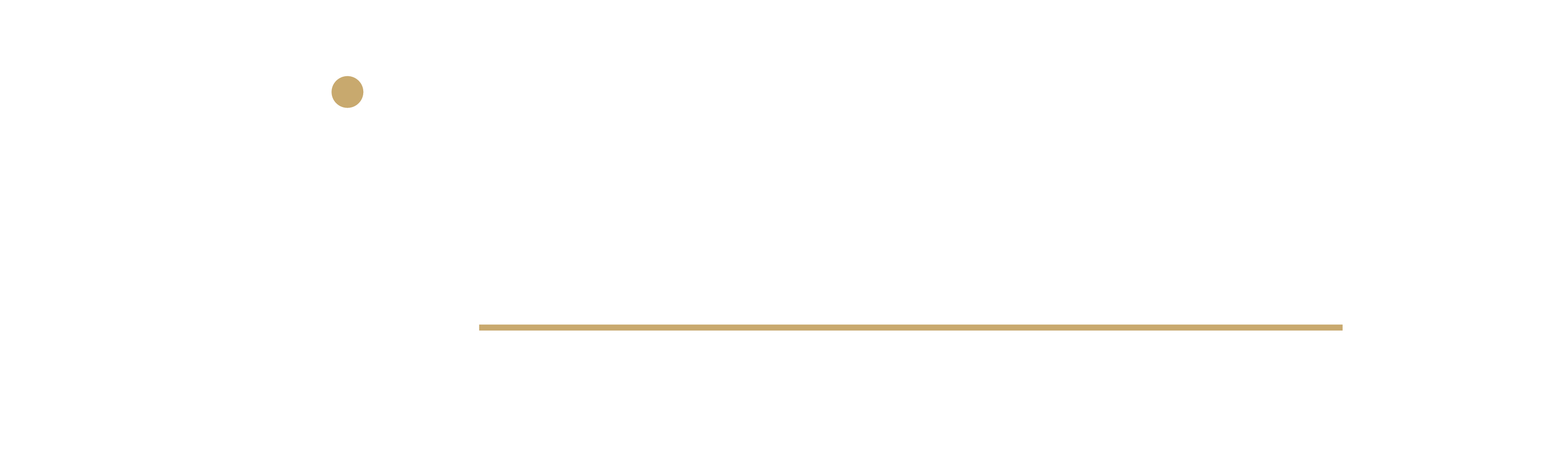 Plan Draft